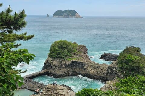 Excursion d'une journée privée en petit groupe pour un client en croisière - Sud de Jeju
