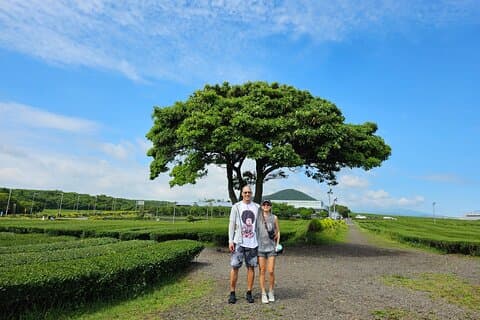 Small group Private Day Tour - West of Jeju Island