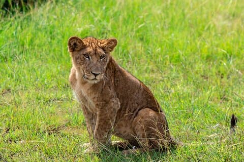 3 Días Parque Nacional Mágico Reina Isabel