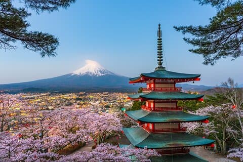 Excursion privée d'une journée au Mont Fuji ou Hakone de Tokyo