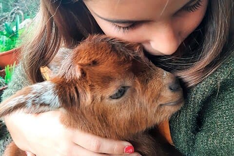 Cheese Walk & Atelier with a Goat Shepherd in Aoleão