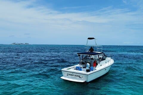 Pesca deportiva privada de 38 'defensor / nado con cerdos en Nassau