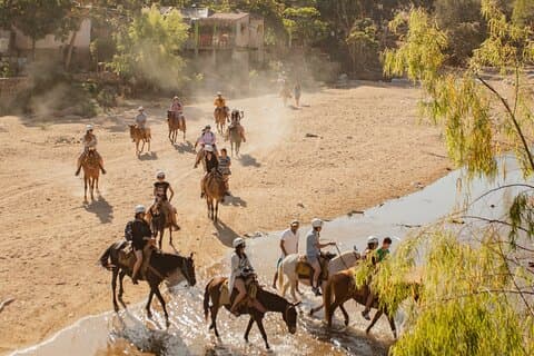 Jungle & Ocean Expedition: Horses, waterfall & Beach BBQ