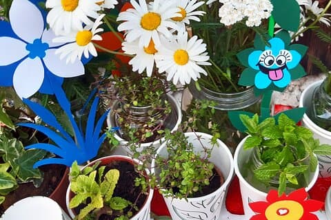 Laboratório criativo - Plantas e cores