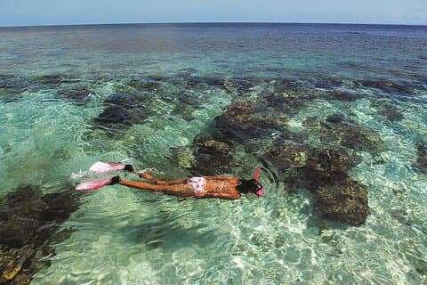 Per i passeggeri delle crociere: tour in barca di 4 ore di St Maarten/St Martin