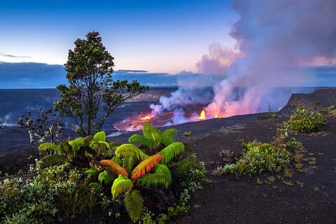 Day Trip from Oahu to Hilo: Volcano Adventure