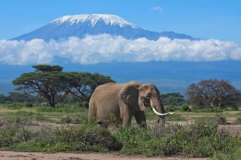 Safari di lusso al Parco Nazionale di Amboseli