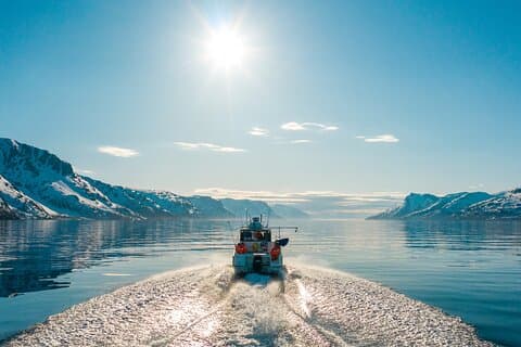 Alta: 2 Hours Guided Adventure Cruise in Alta Fjord