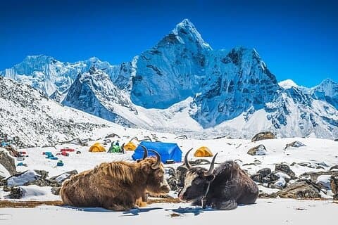 Everest Base Camp Trek 14 days With Expedia Holiday