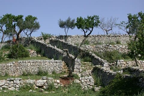 Alberobello: Trulliens hemmelige opprinnelse, privat tur 2 timer