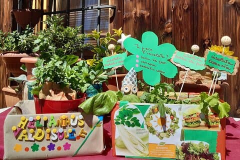 Creative workshop - Vegetable garden in boxes