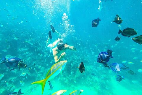 Snorkel exclusivo para adultos en Punta Cana con comida y bebidas