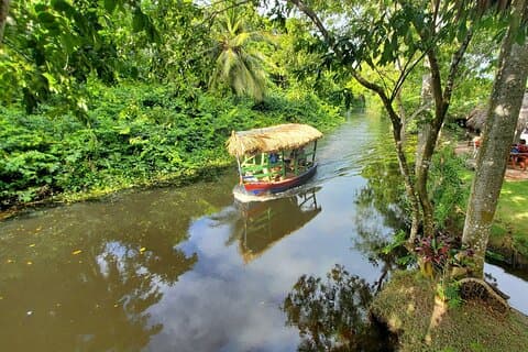 Local Excursion || Jungle Safari Excursion