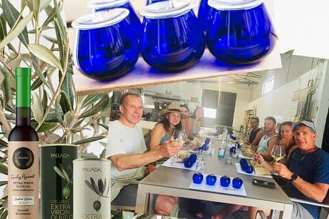 Pallada Semi-Private Olive Oil Tours i Sternes, Chania