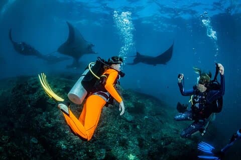Nusa Penida. Diving.