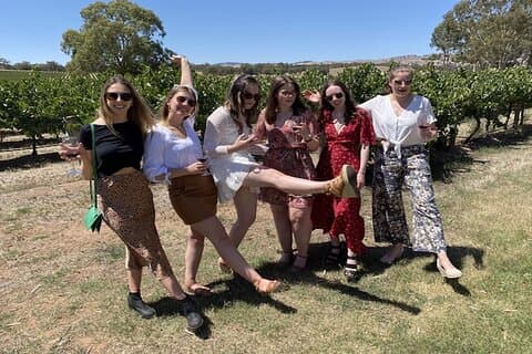 Excursion à terre : visite d'une journée complète de dégustation de vins dans la vallée de Barossa