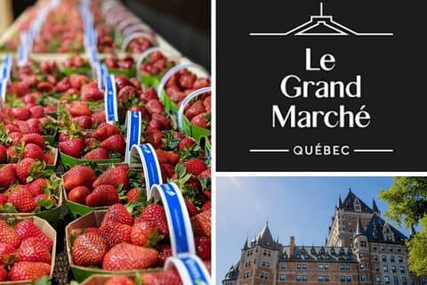 Visite de la ville et de la ferme du marché au départ de Québec