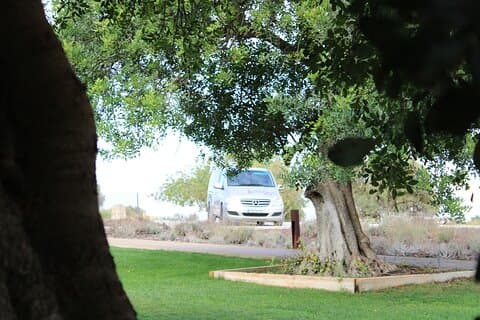 Tour privato dell'Algarve