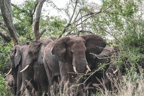2 Days One Night Private Tour in Tarangire National Park