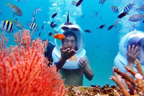 Ervaar Nha Trang Sea Walk en traditionele visgerechten