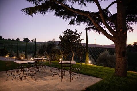 Montalcino : Cata de vinos Brunello & Cena Toscana