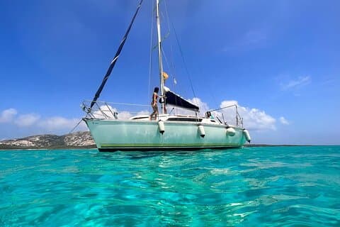 From Stintino: sailboat tour to Asinara with lunch