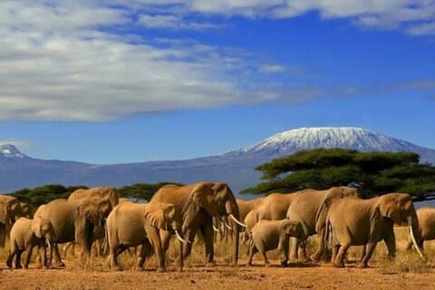 Privé 3 dagen en 2 nachten Amboseli National Park Tour