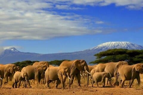 Übernachtungstour im Amboseli-Nationalpark ab Nairobi