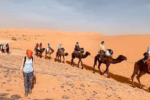 sahara wellness camp