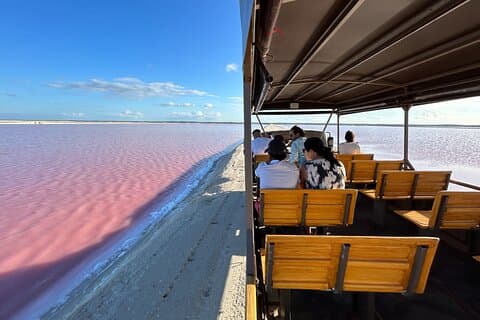 Adgangsbillet til safari i de lyserøde laguner i Las Coloradas