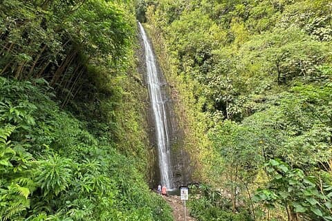 マノア滝 - 電動自転車でのハイキング体験 地元の食事込み