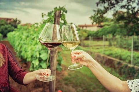 Tasting of Vernaccia, Chianti and Extra Virgin Olive Oil