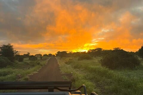Overnight Safari in Lake Nakuru Park and Lake Naivasha.