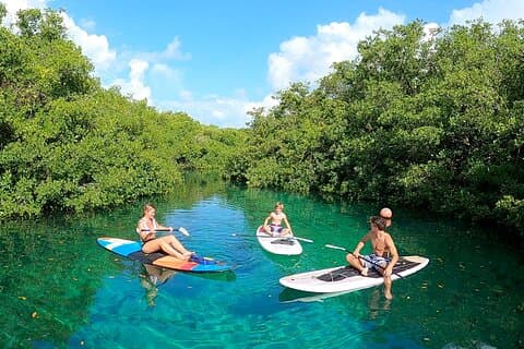 Pagaie et plongée avec tuba à Cenote - Riviera Maya