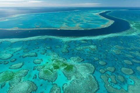 Heart Reef & Whitehaven Rest and Relax - ~2.5Hr Helicopter Tour