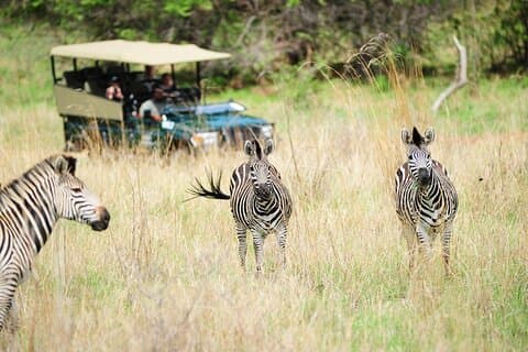 Découvrez les chutes Victoria et le parc national de Chobe (voyage de 4 jours)
