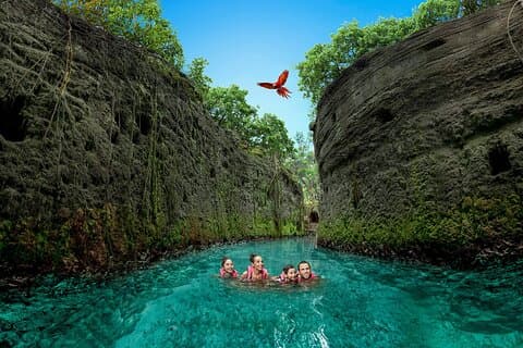 Xcaret Park Tagesausflug, Transport und kulturelle Nachtshow