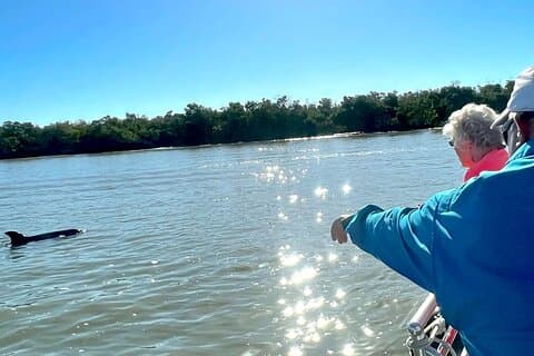 Private Wild Dolphin Tour