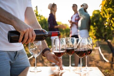 Atlanta Vineyards and Wines Full-Day Private Tour