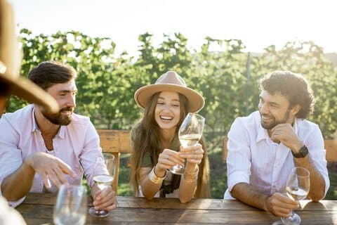 Viner och utsikt Privat vintur i Otago från Queenstown