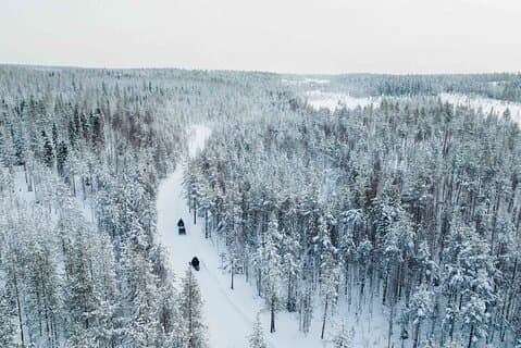 Oplev en 3-timers lang Snowmobile Safari i Lappland