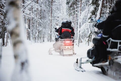 Winter-Highlights: Schneemobil, arktische Tiere und das Dorf des Weihnachtsmanns