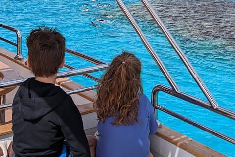 Swim with Dolphins : Snorkeling Adventure at Satayeh Reef