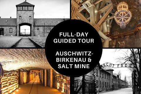 Journée complète à Auschwitz-Birkenau et à la mine de sel de Cracovie