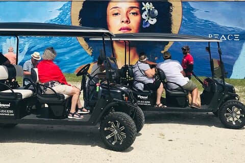 Small-Group Brewery Golf Cart Tour of Wynwood with a Local Guide