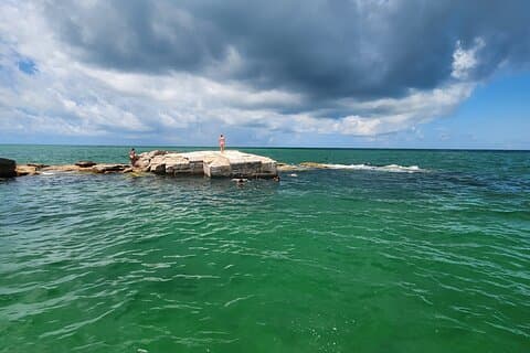 Boat tour with Watersports and snorkeling near st pete beach