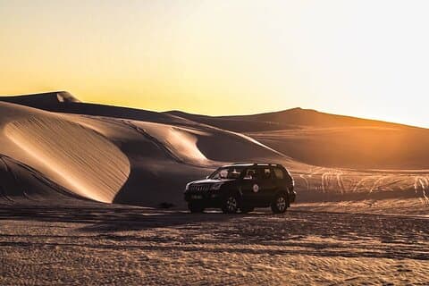 Halvdags Sand Dune Safaris i Cape Town