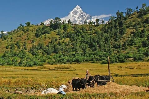 Pokhara: 4 días Royal Trek con la familia