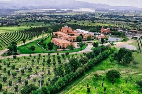 Vingård, rundvisning, smagning og kulturel sjov i San Miguel de Allende