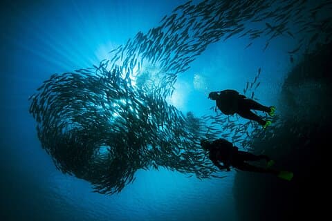 Cours avancé PADI de 2 jours de Phi Phi